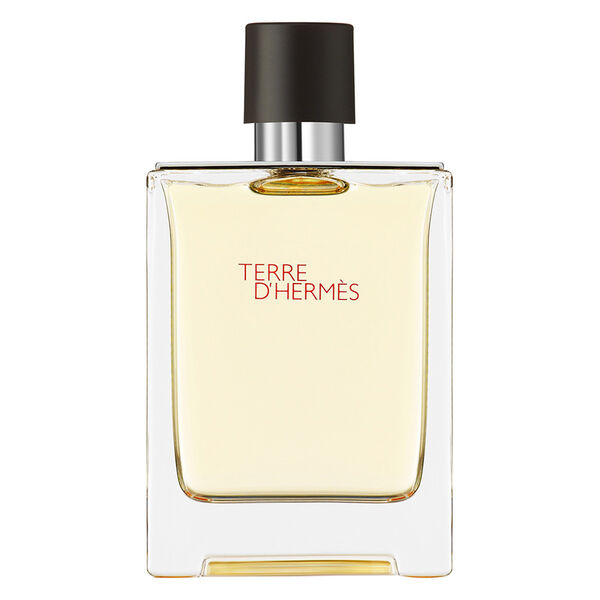 Terre D'Hermès - Hermes 100ml (Eau de parfum)